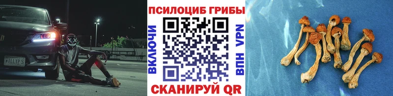 Галлюциногенные грибы мицелий  продажа наркотиков  Бабаево 